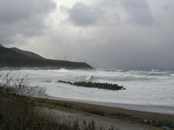 ���q�����{�C