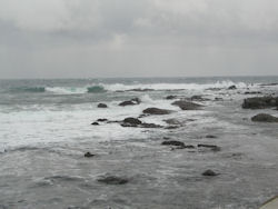 ���q�����{�C