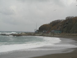 �S�����̂悤�Ȋ�