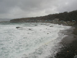 ���q�����{�C