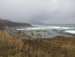 ������]��