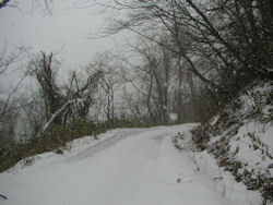 ����̎R��