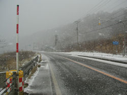 ����̊C��