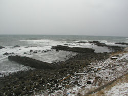 �D������̐�