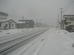 ����̉̊��s�X