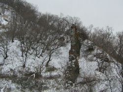 �ٌc�̐d�ϊ�