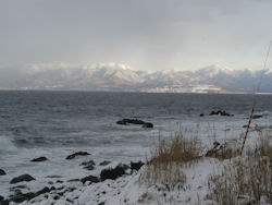 ����������