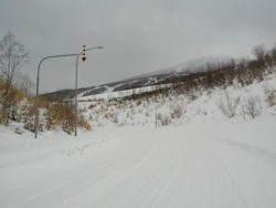 �~�R�������x