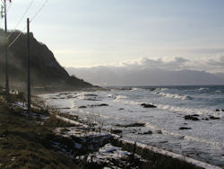 �������{�C