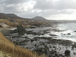 �����t�߂̊C