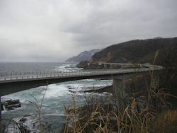 �����ݒ�