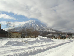 ���ɒ��r���R