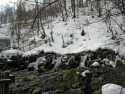 �ӂ���������