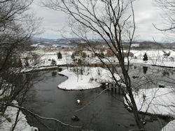 �ӂ���������