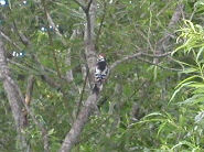 �N�}�Q���o��