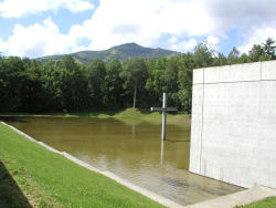 ���̋���