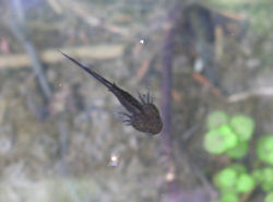 �I�I�T���V���E�E�I