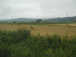 �\���̎ԑ�