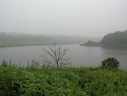 ���ޏt�̌�