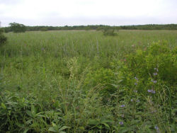 �N�`��������