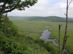 �R�b�^������