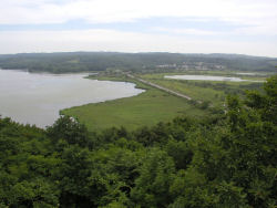 �T���{�W�]�䂩��