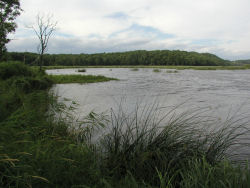 �V�����g����