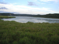 ��Ԃ���V�����g���΂�]��