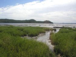 ���ݘp���玼����