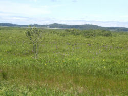 �����z�ւ̓���