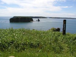 �A�[�`�̖�