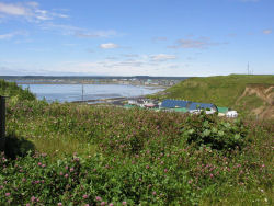 �����z�s�X