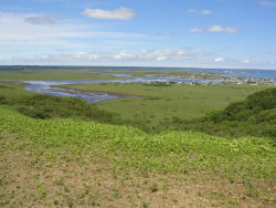 ���i���W�]�䂩��