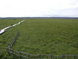 �����z����