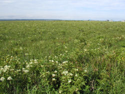 �����z����