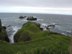 �����z��