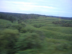 �����֌�����