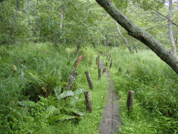 ���ߌΗV����