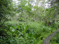 �V��������