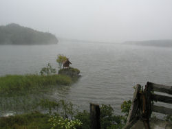 ���C�̏オ�钷�ߌ�