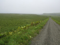 �t���V�}��������