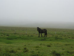 �����ɂ������ޔn