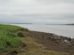 ���@�΂̏o��