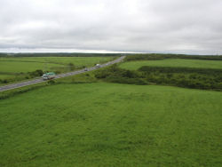 �V���W�]�䂩��