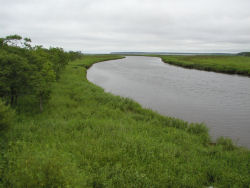 ���E�V���x�c�쎼��