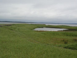 ���ÒO�̐�[