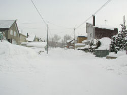 ����Z��X