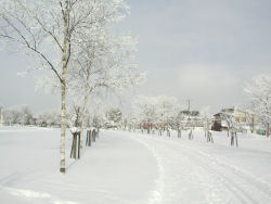 ��]������