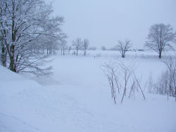 �q�b����