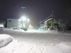 �q�b���w�O